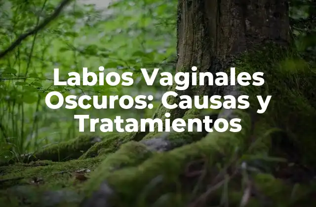 Causas Fisiológicas de los Labios Vaginales Oscuros