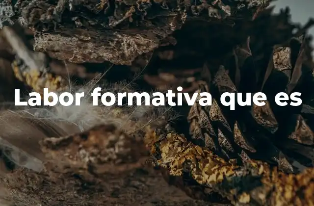 Labor Formativa que es