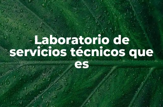 Laboratorio de Servicios Técnicos que es