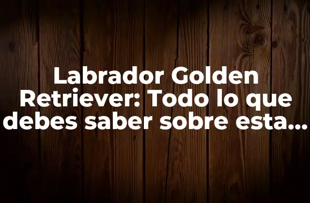 Labrador Golden Retriever: Todo Lo que Debes Saber sobre Esta Raza de Perro