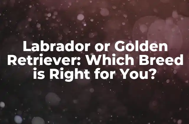 Origin and History of Labrador and Golden Retriever