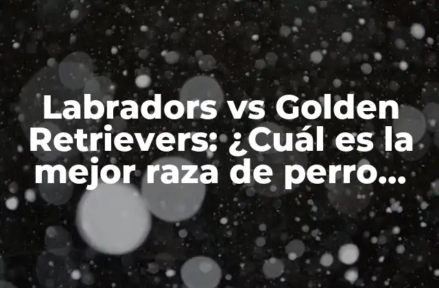 Labradors Vs Golden Retrievers: ¿cuál es la Mejor Raza de Perro para Ti?