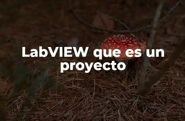 Labview que es un Proyecto