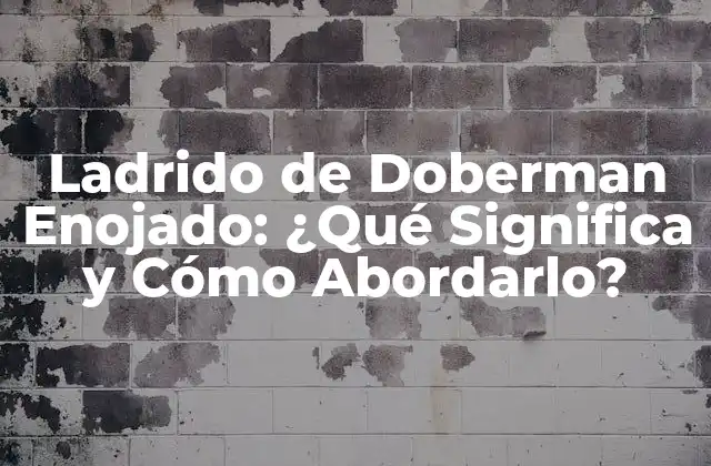Ladrido de Doberman Enojado: ¿qué Significa y Cómo Abordarlo?