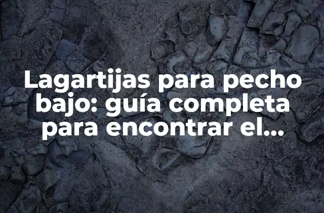 Lagartijas para Pecho Bajo: Guía Completa para Encontrar el Sostén Perfecto