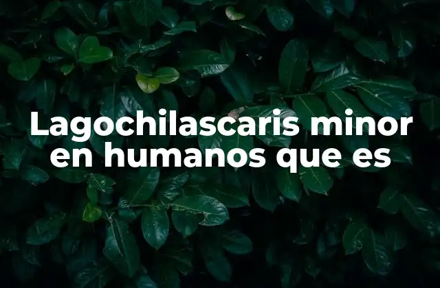 Lagochilascaris Minor en Humanos que es