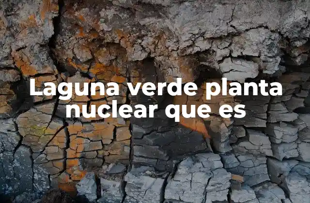 Laguna Verde Planta Nuclear que es