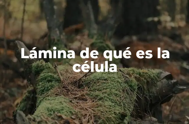 Lámina de Qué es la Célula 2 La representación visual de la célula en la educación