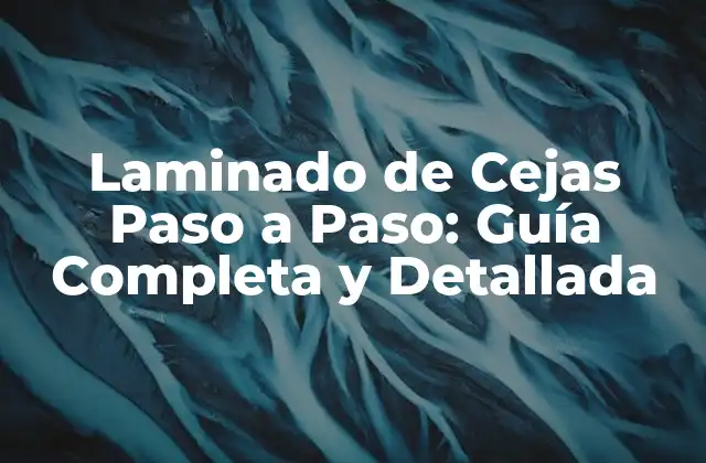 Laminado de Cejas Paso a Paso: Guía Completa y Detallada