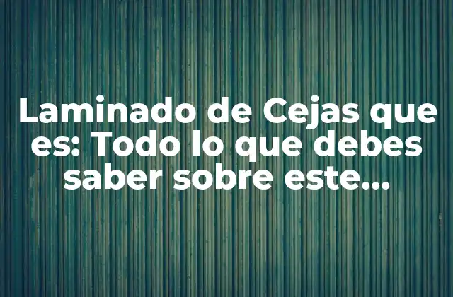 Laminado de Cejas que Es: Todo Lo que Debes Saber sobre Este Tratamiento de Belleza