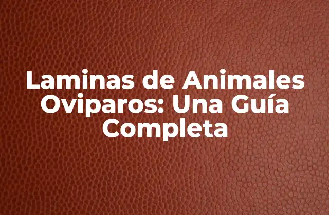 Laminas de Animales Oviparos: una Guía Completa