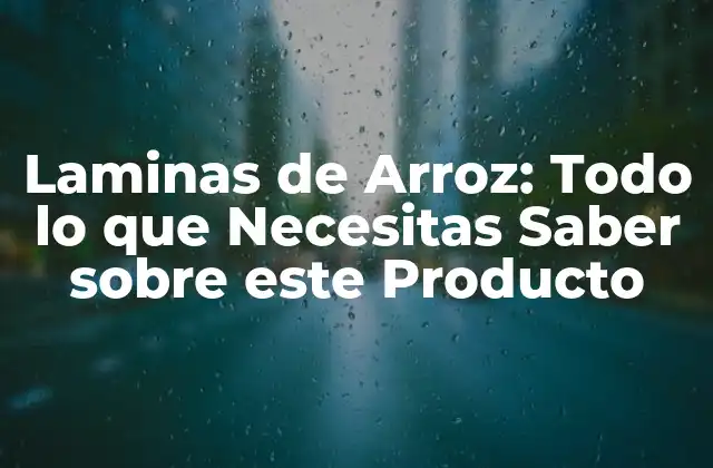 Laminas de Arroz: Todo Lo que Necesitas Saber sobre Este Producto
