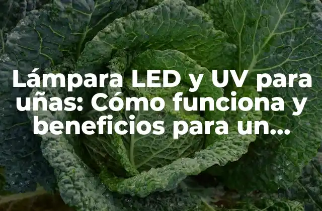 Lámpara Led y Uv para Uñas: Cómo Funciona y Beneficios para un Acabado Perfecto