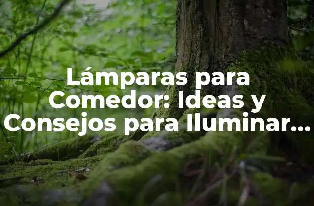 Lámparas para Comedor: Ideas y Consejos para Iluminar Tu Espacio 2 Tipos de Lámparas para Comedor: Una Guía para Elegir la Mejor Opción