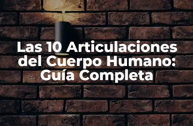 Las 10 Articulaciones Del Cuerpo Humano: Guía Completa