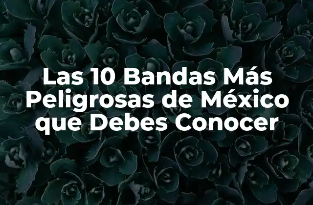 ¿Qué son las Bandas Criminales en México?