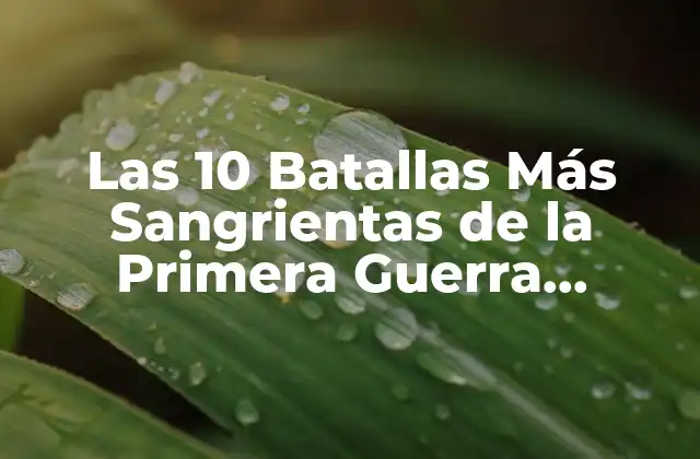 Las 10 Batallas Más Sangrientas de la Primera Guerra Mundial: un Recuento de la Devastación
