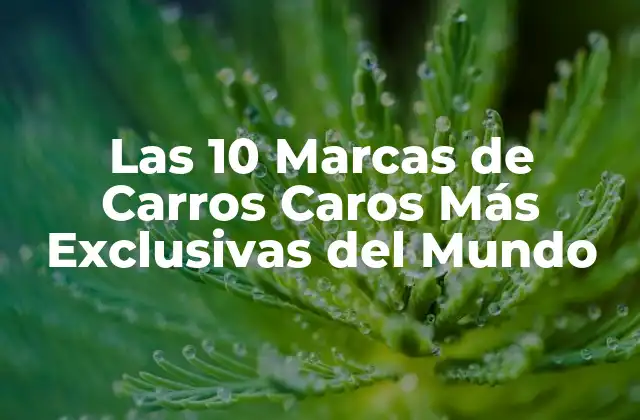 Las 10 Marcas de Carros Caros Más Exclusivas Del Mundo