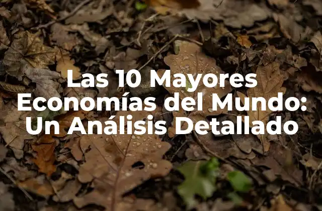 Las 10 Mayores Economías Del Mundo: un Análisis Detallado