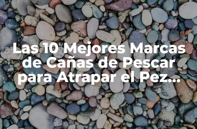 Las 10 Mejores Marcas de Cañas de Pescar para Atrapar el Pez Soñado