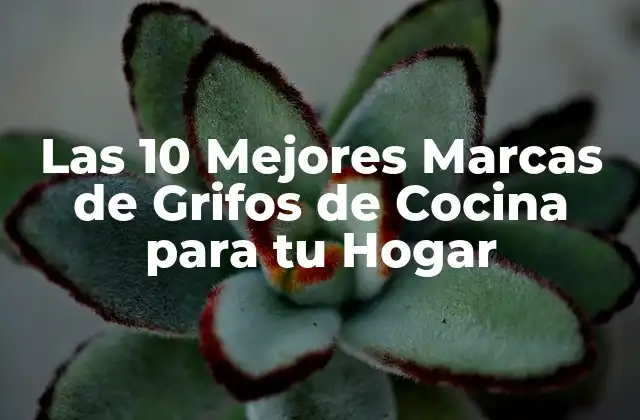 Las 10 Mejores Marcas de Grifos de Cocina para Tu Hogar