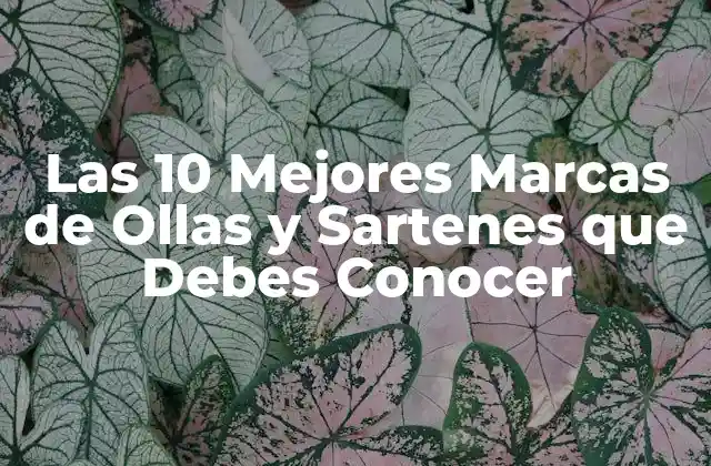 Las 10 Mejores Marcas de Ollas y Sartenes que Debes Conocer