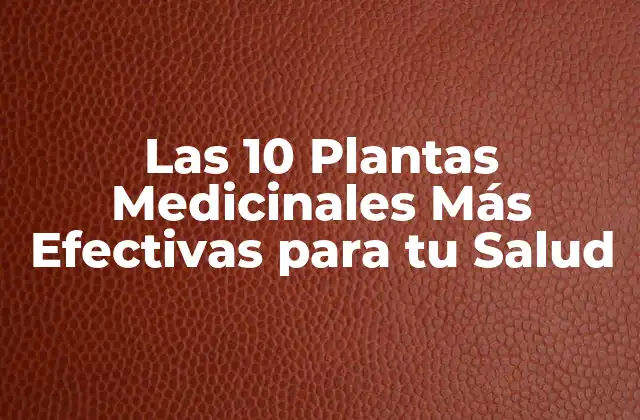 ¿Qué son las Plantas Medicinales?
