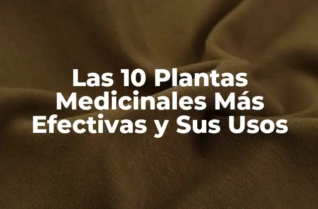 ¿Qué son las Plantas Medicinales y Cómo Funcionan?