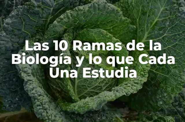 Las 10 Ramas de la Biología y Lo que Cada una Estudia