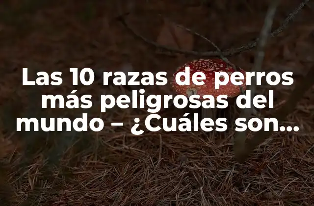 Las 10 Razas de Perros Más Peligrosas Del Mundo – ¿cuáles Son los Más Letales?