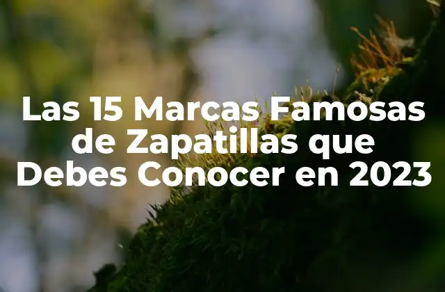 Las 15 Marcas Famosas de Zapatillas que Debes Conocer en 2023