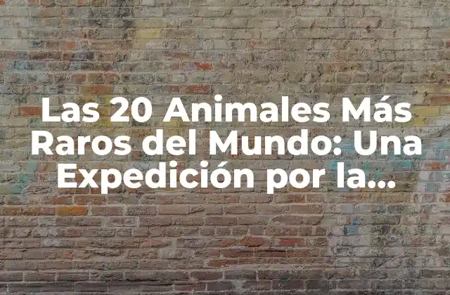 Las 20 Animales Más Raros Del Mundo: una Expedición por la Biodiversidad