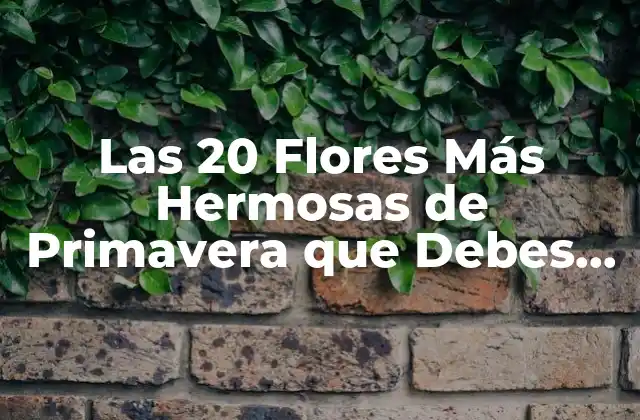 Las 20 Flores Más Hermosas de Primavera que Debes Conocer 2 ¿Qué es lo que hace que las flores de primavera sean tan especiales?