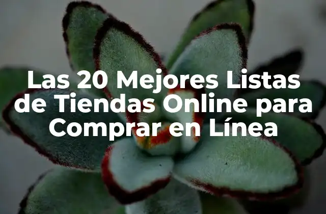 Las 20 Mejores Listas de Tiendas Online para Comprar en Línea
