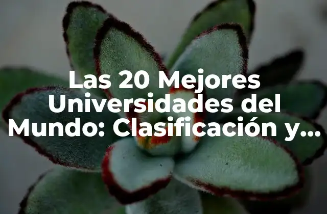 Las 20 Mejores Universidades Del Mundo: Clasificación y Requisitos de Admisión