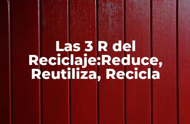 Las 3 R Del Reciclaje:reduce, Reutiliza, Recicla