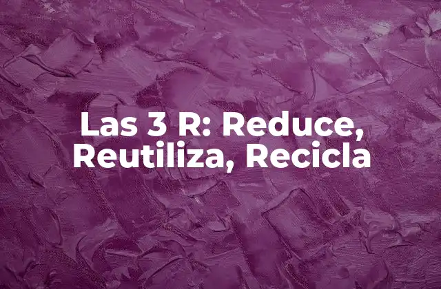 Las 3 R: Reduce, Reutiliza, Recicla 2 ¿Qué significa Reduce en las 3 R?