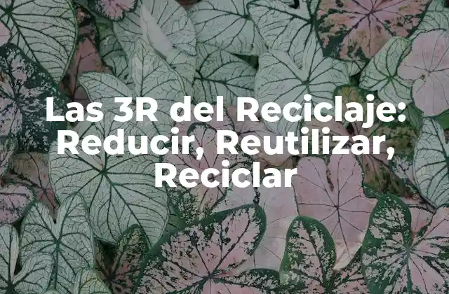 Las 3r Del Reciclaje: Reducir, Reutilizar, Reciclar