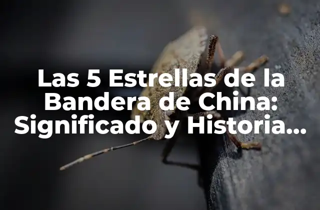 Las 5 Estrellas de la Bandera de China: Significado y Historia Detrás de la Iconografía Nacional