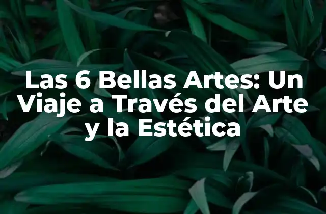 Las 6 Bellas Artes: un Viaje a Través Del Arte y la Estética
