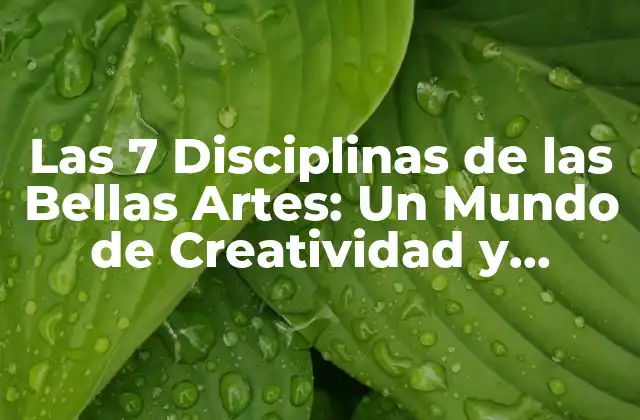Las 7 Disciplinas de las Bellas Artes: un Mundo de Creatividad y Expresión