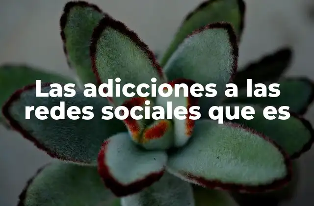 Las Adicciones a las Redes Sociales que es