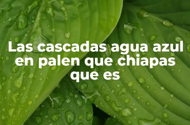 Las Cascadas Agua Azul en Palen que Chiapas que es