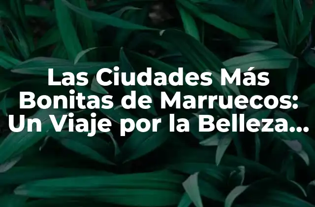 Las Ciudades Más Bonitas de Marruecos: un Viaje por la Belleza y la Cultura