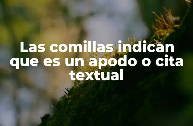 El rol de las comillas en la comunicación escrita