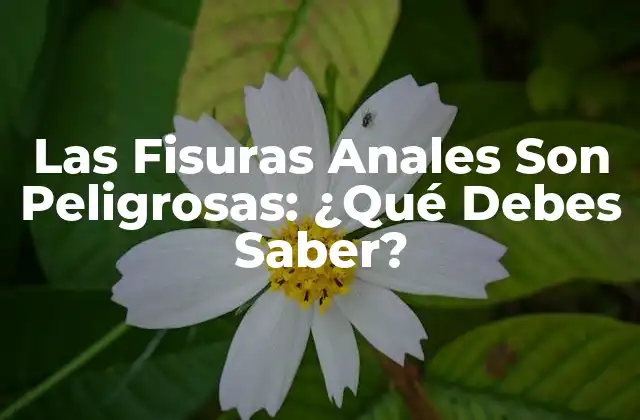 Las Fisuras Anales Son Peligrosas: ¿qué Debes Saber?