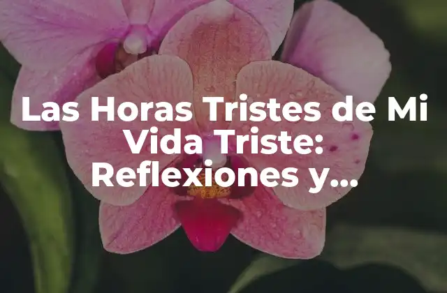 Las Horas Tristes de Mi Vida Triste: Reflexiones y Superación