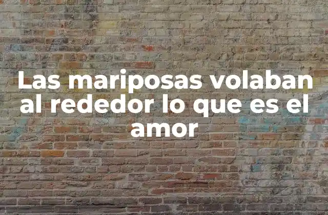 Las Mariposas Volaban Al Rededor Lo que es el Amor