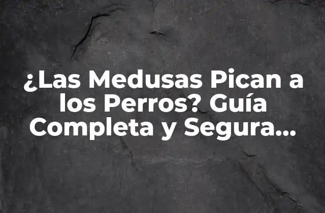 ¿las Medusas Pican a los Perros? Guía Completa y Segura para Dueños de Mascotas