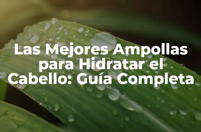 Las Mejores Ampollas para Hidratar el Cabello: Guía Completa